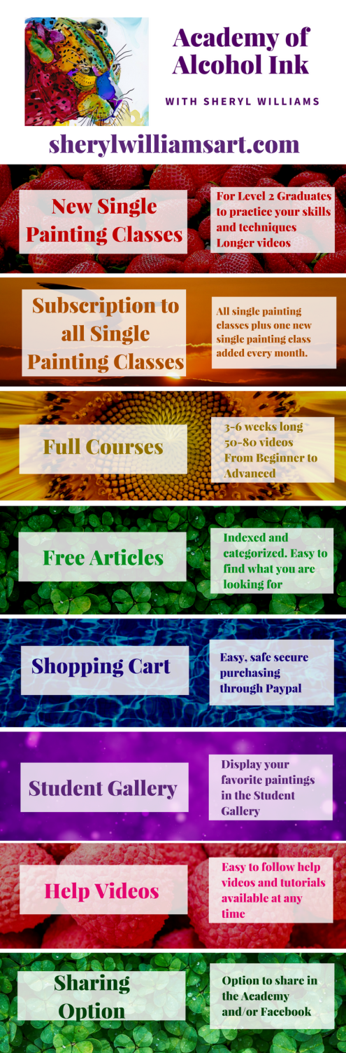 academy-infographic-more-color-4